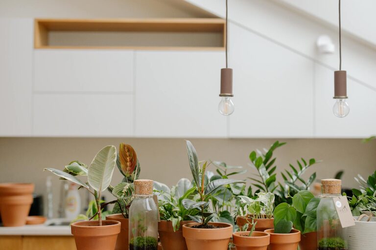 The Benefits of Incorporating Indoor Plants into Your Home Decor